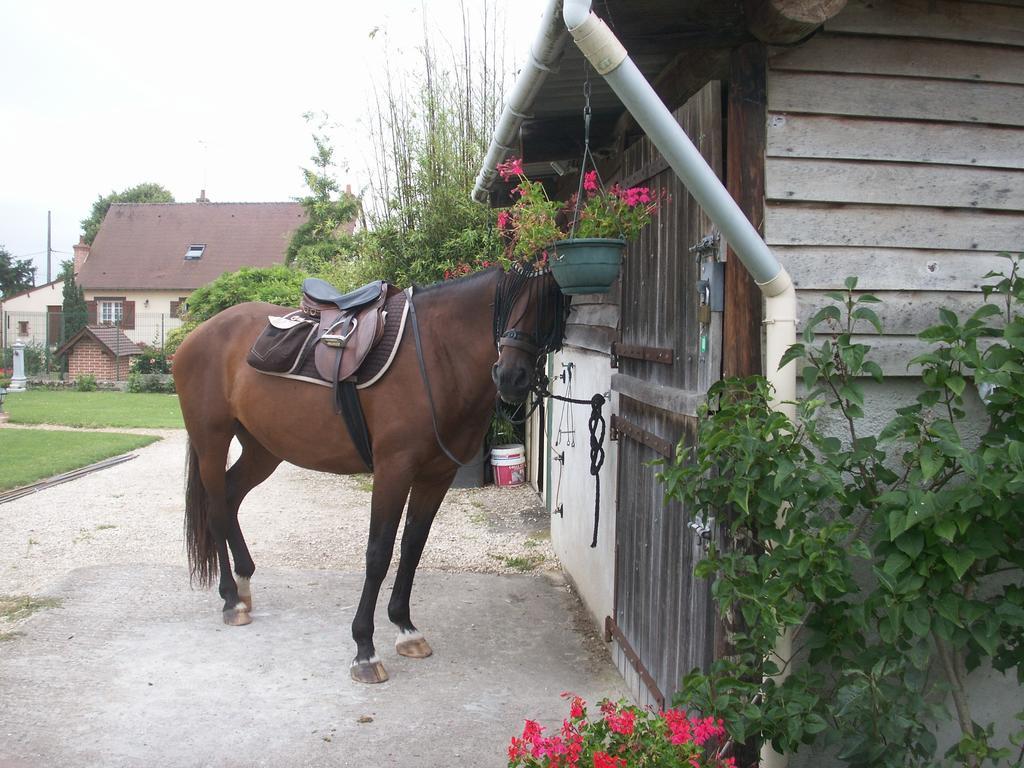 Le Clos Des Perraudieres Cour Cheverny Bagian luar foto