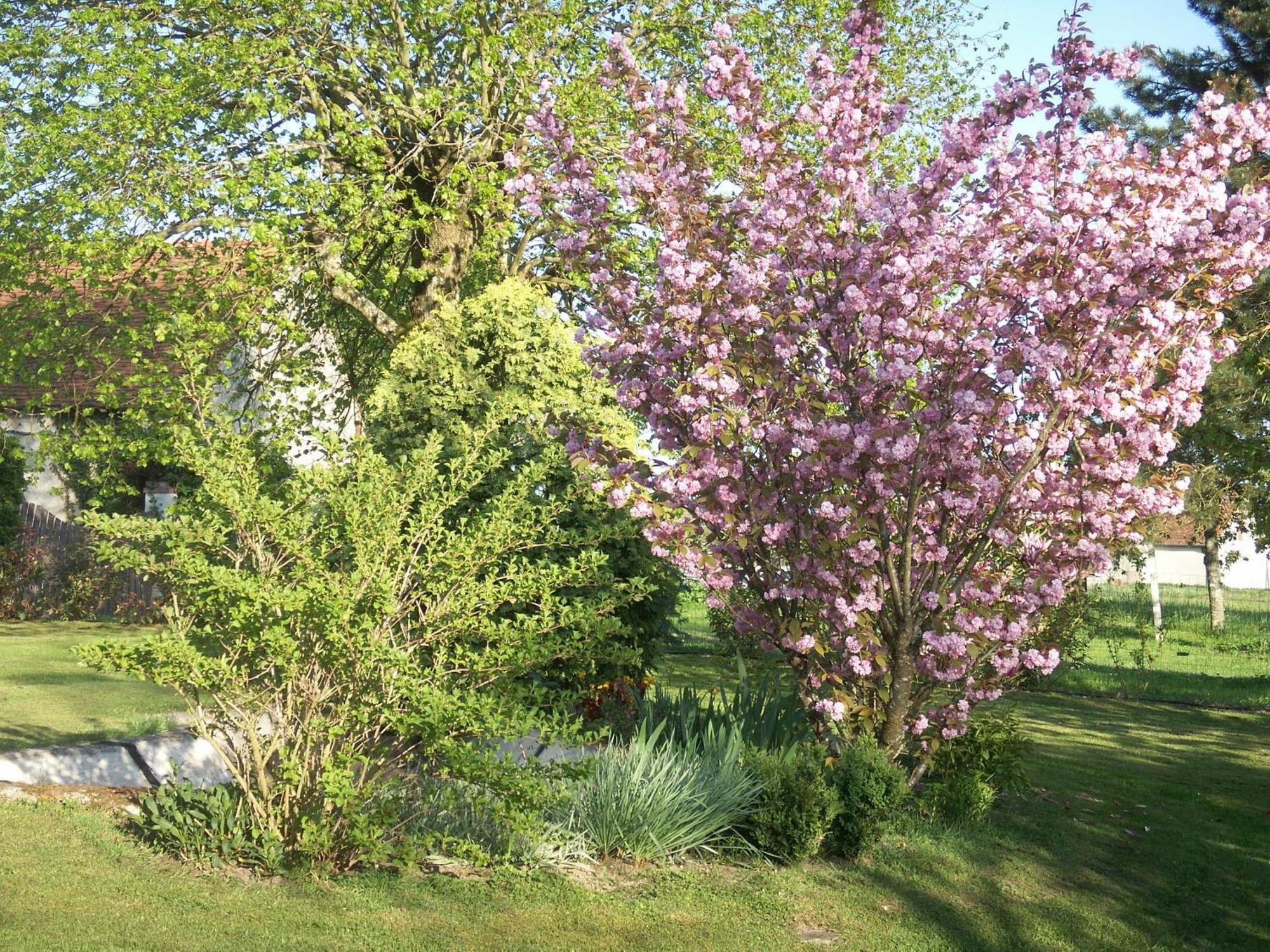 Le Clos Des Perraudieres Cour Cheverny Bagian luar foto