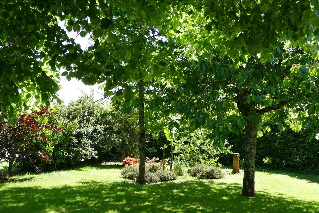 Le Clos Des Perraudieres Cour Cheverny Bagian luar foto