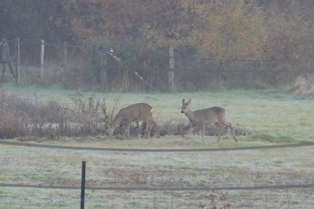 Le Clos Des Perraudieres Cour Cheverny Bagian luar foto