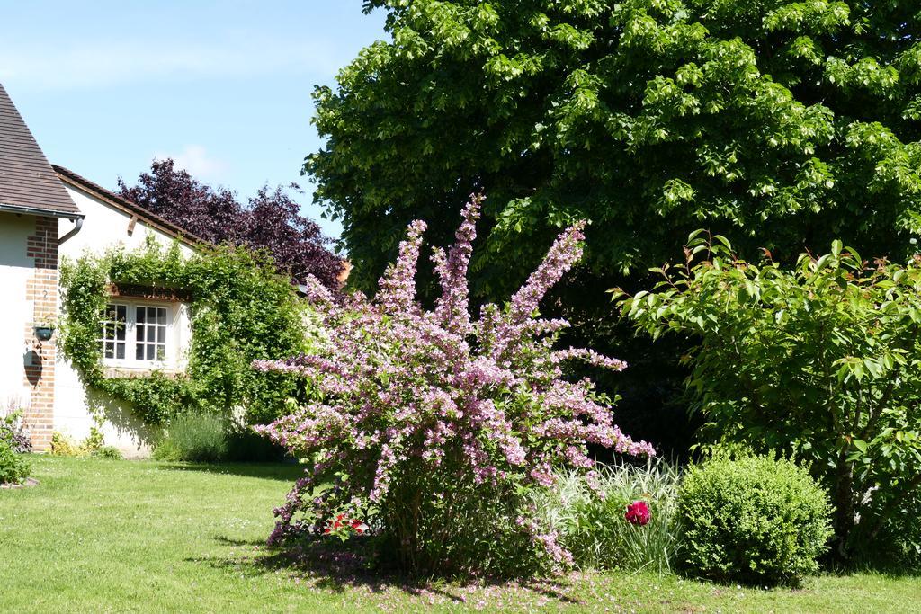 Le Clos Des Perraudieres Cour Cheverny Bagian luar foto