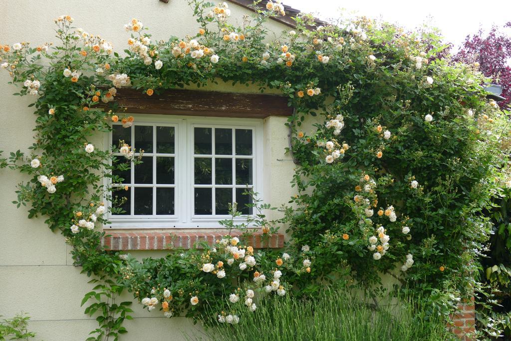 Le Clos Des Perraudieres Cour Cheverny Bagian luar foto